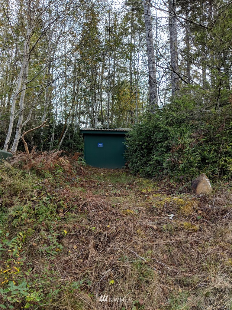 40-xx East Rasor Road Belfair, WA 98528 - Photo 8 of 15 Gallery Image 8