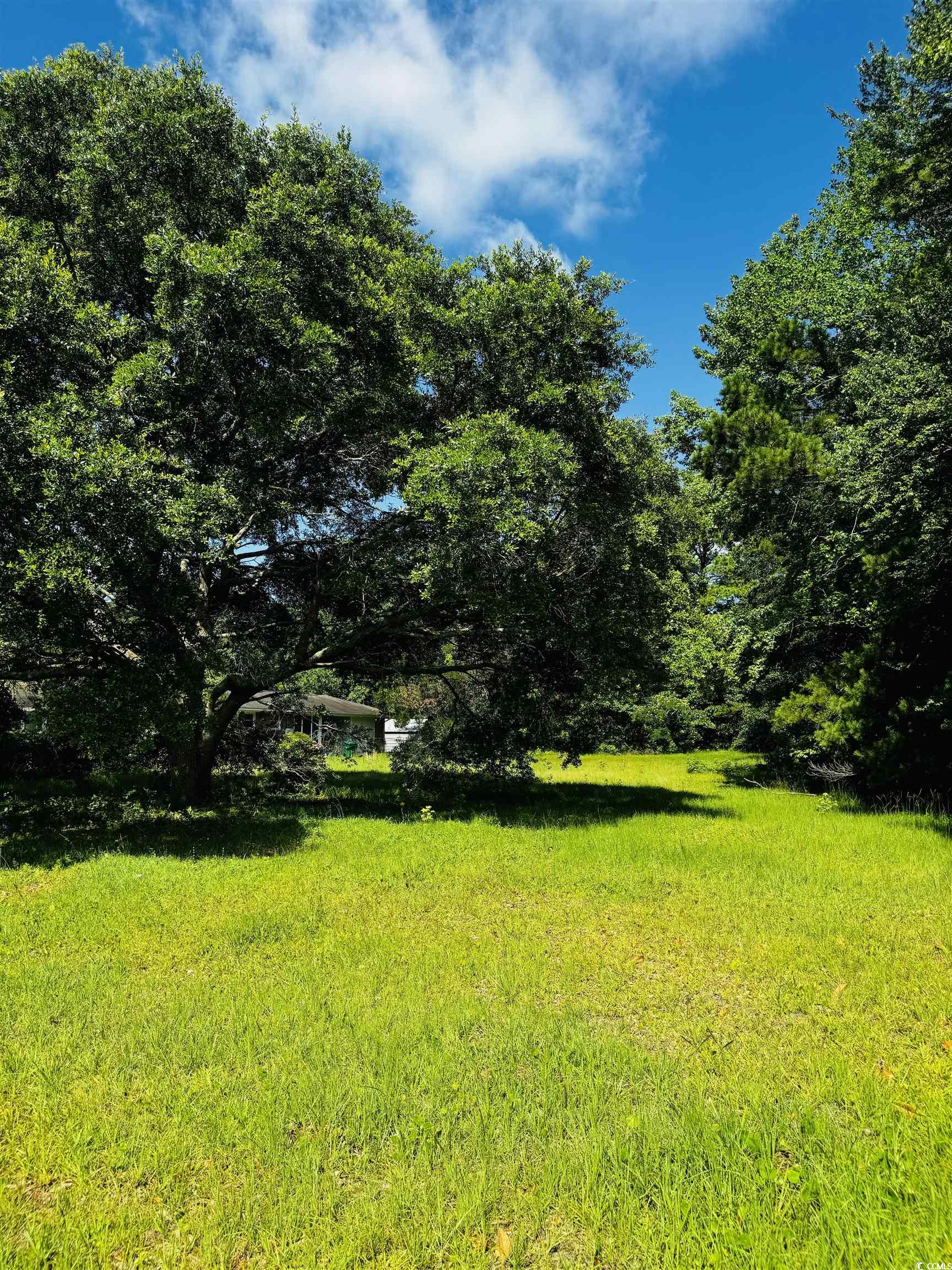 Tbd South Bay Street Georgetown, SC 29440 - Photo 4 of 20