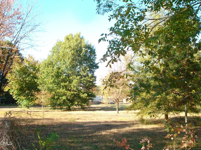 a view of backyard with large trees