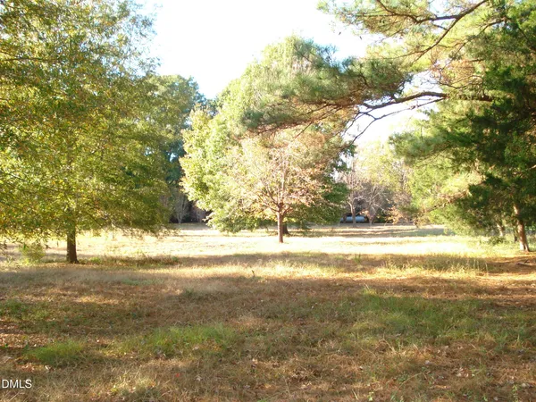 a view of yard with trees