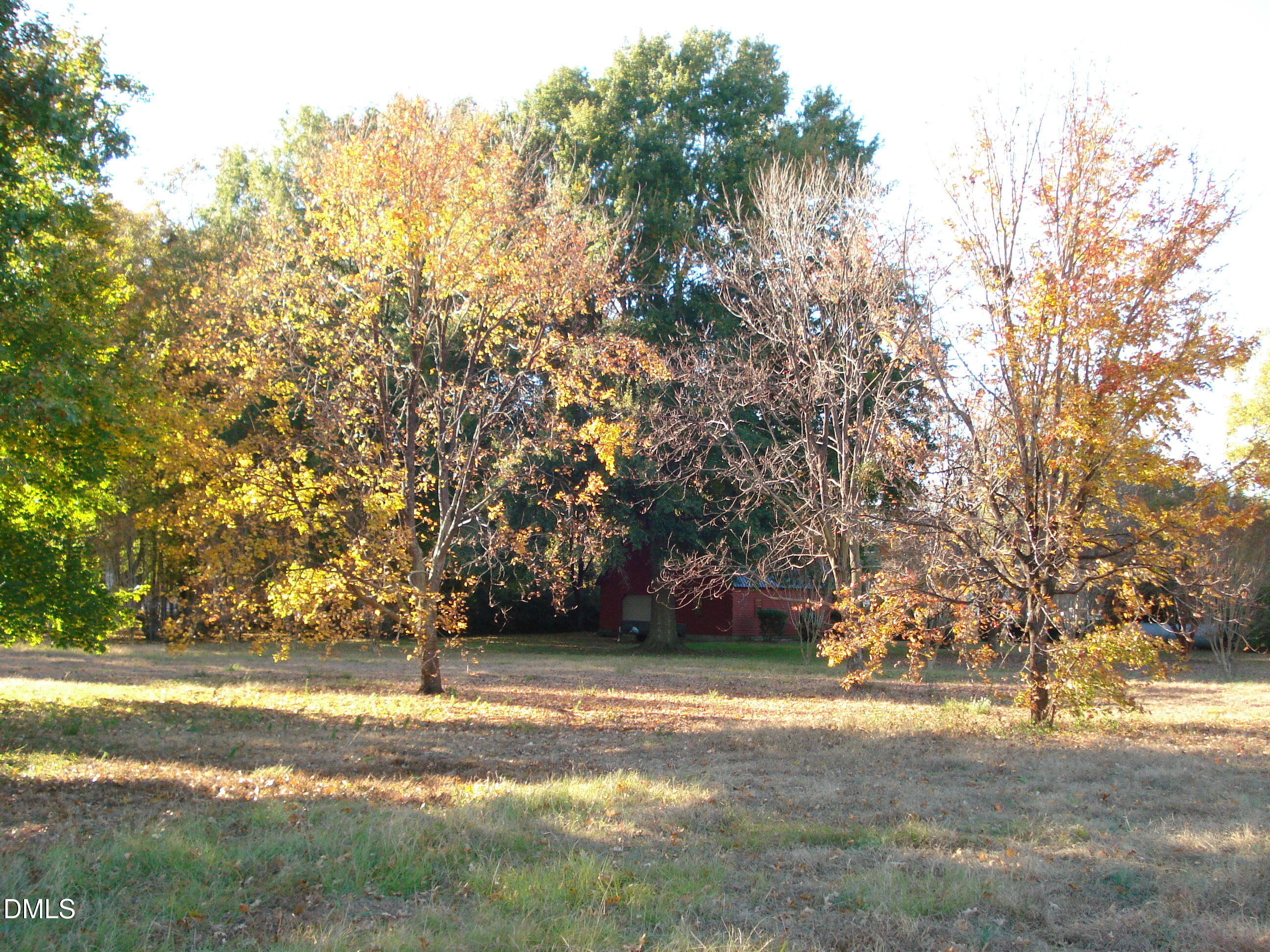 0 Bait Road Dunn, NC 28334 - Photo 22 of 38 a view of yard with trees