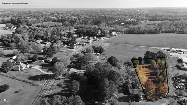 a view of yard with trees