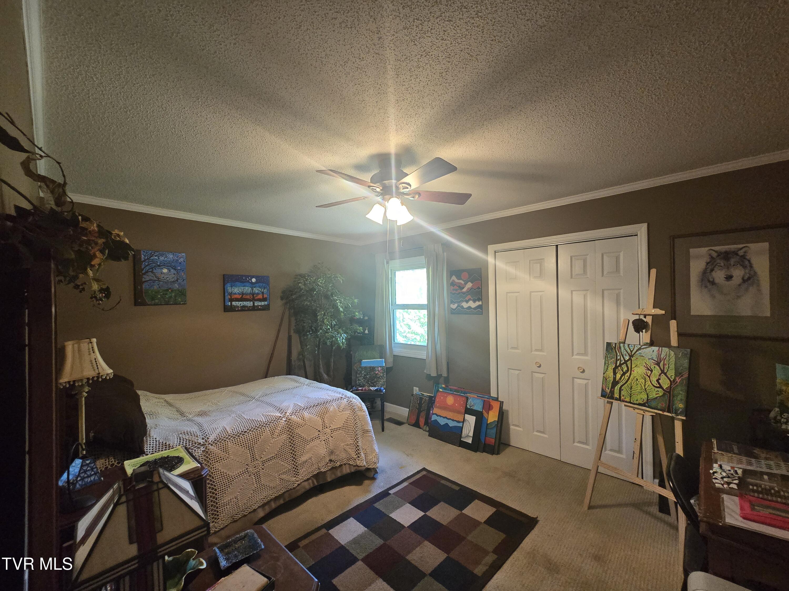 3265 Winesap Road Kingsport, TN 37663 - Photo 13 of 27 20260517_115645