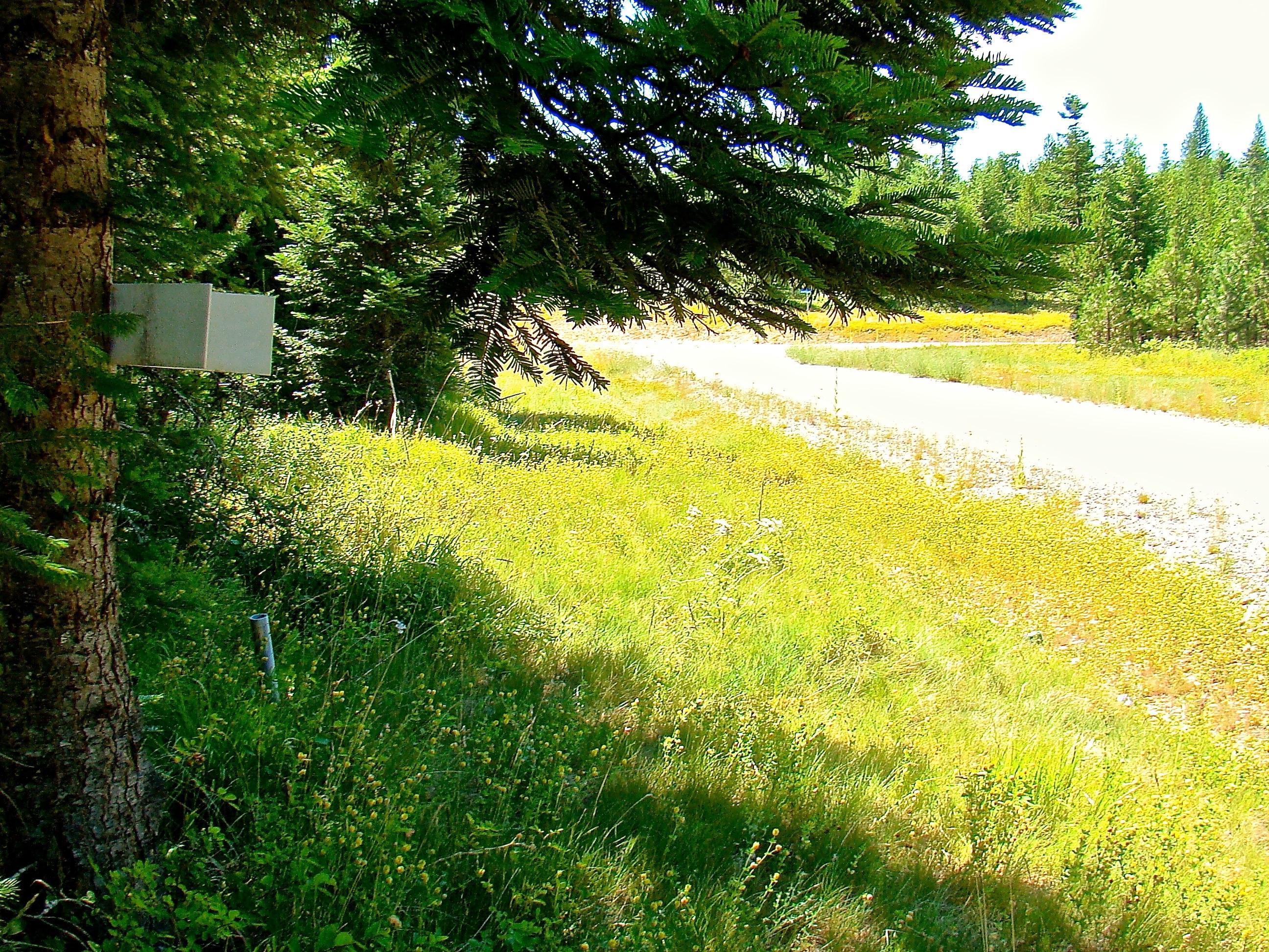 Nna Nna Alberato Road Priest River, ID 83856 - Photo 1 of 1 Verde Foresta Estates