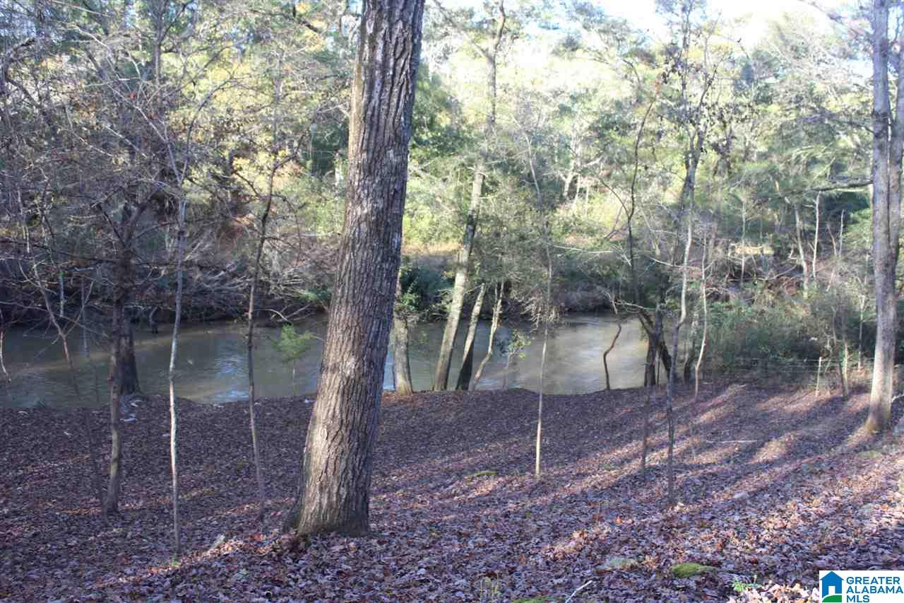 72 Bluegrass Lane Jasper, AL 35503 - Photo 9 of 23