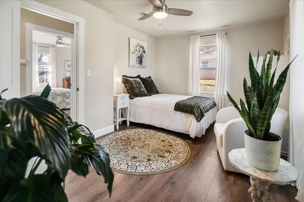 a living room with furniture and a potted plant