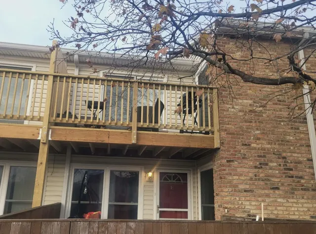 a front view of a building with a tree