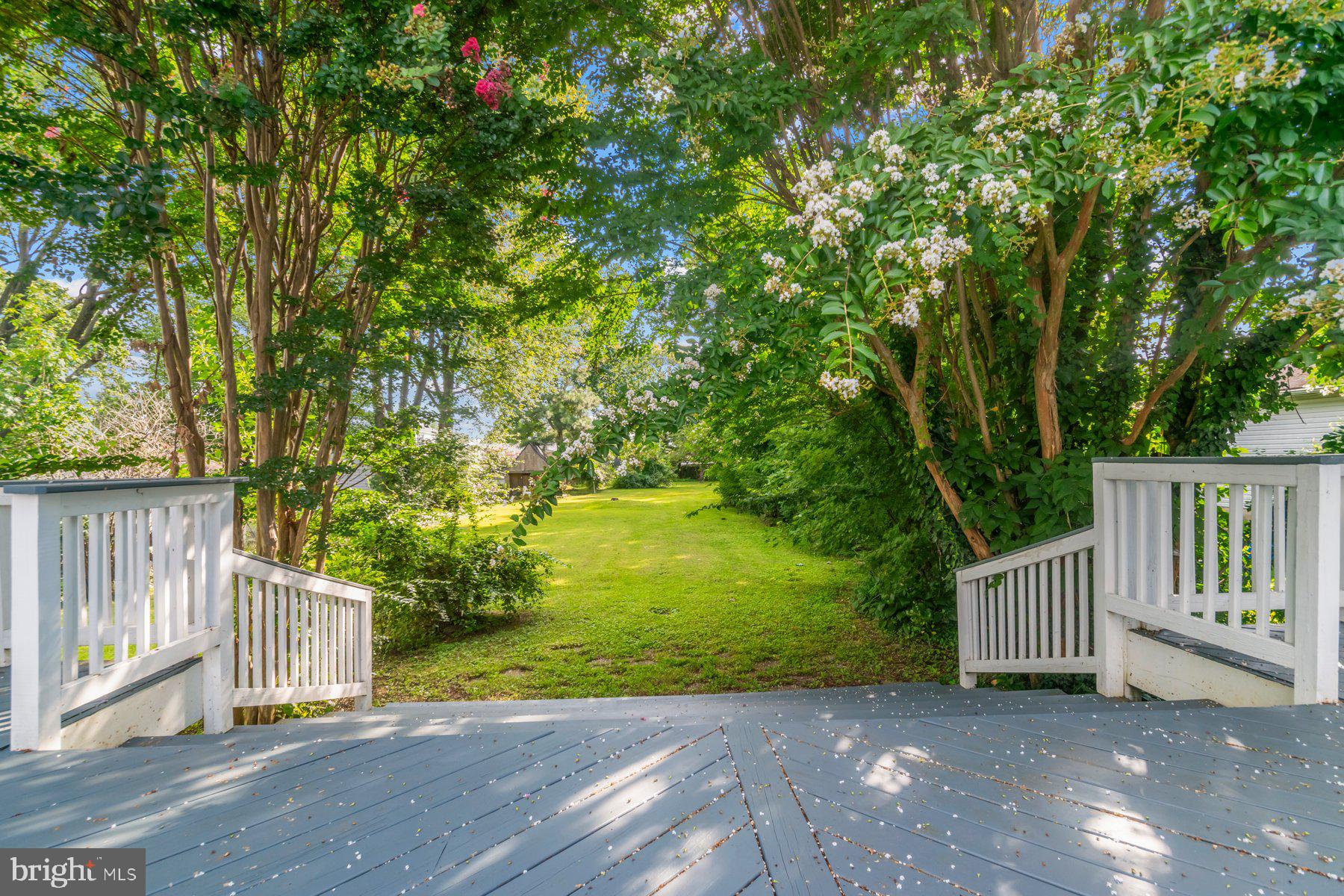 2209 Monocacy Road Essex, MD 21221 - Photo 11 of 39 View from deck