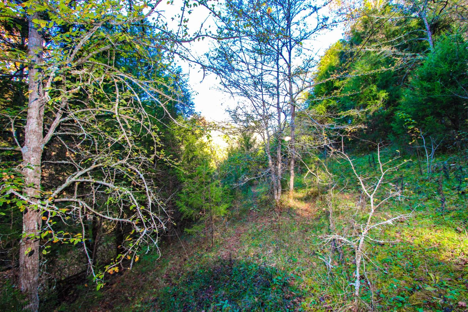 2464 Fowler Road Bybee, TN 37713 - Photo 35 of 35 IMG_5837