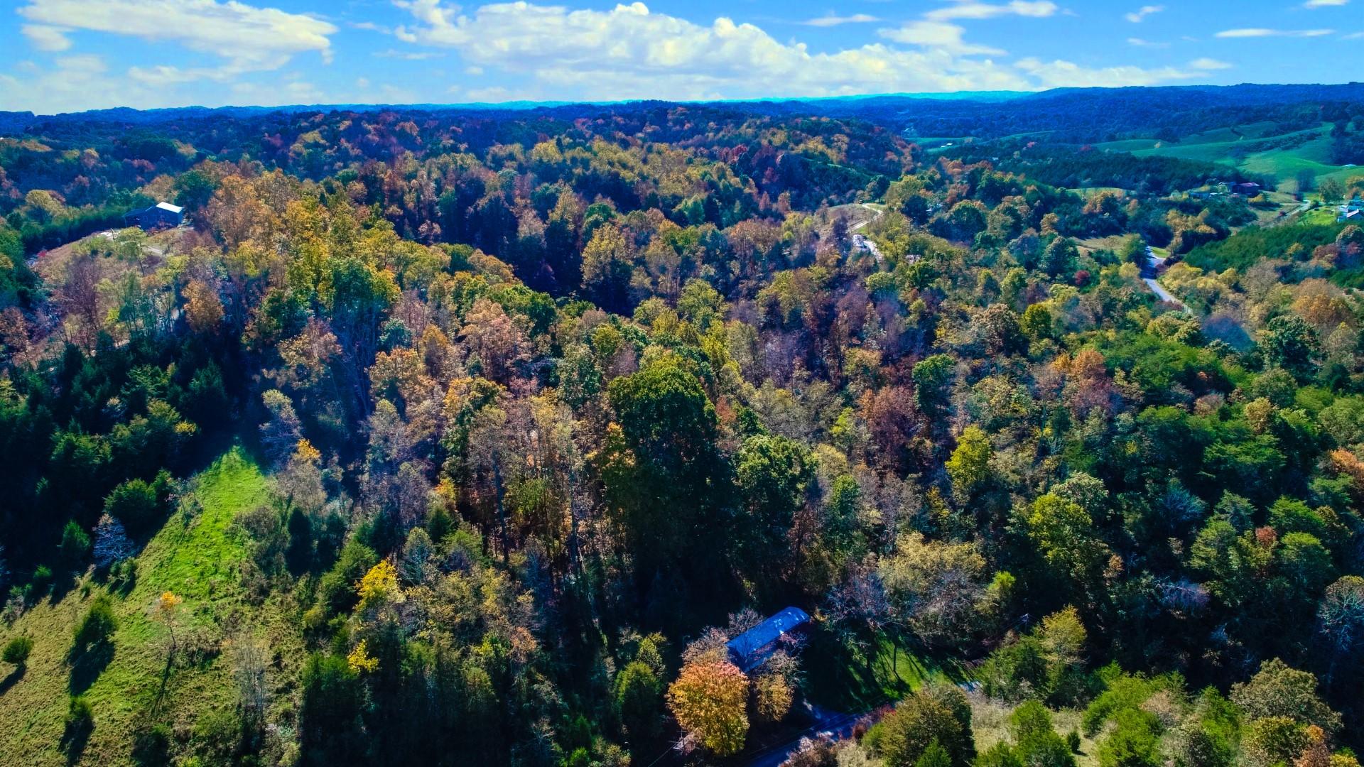 2464 Fowler Road Bybee, TN 37713 - Photo 8 of 35 DJI_0028ps