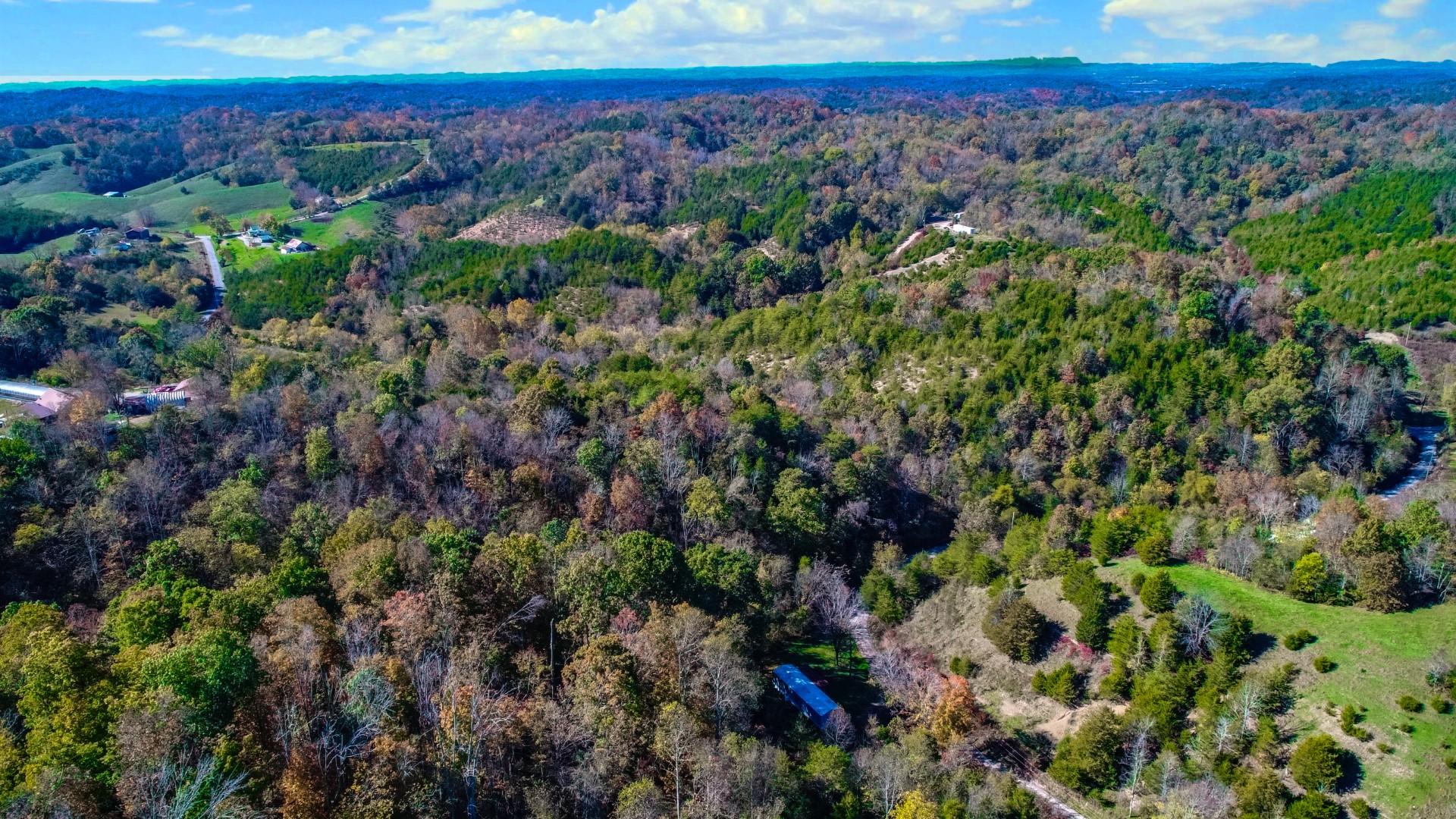 2464 Fowler Road Bybee, TN 37713 - Photo 9 of 35 DJI_0030ps