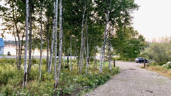 $89,000 | Lot 9-part Rd Eastport Me 04631 Road, Eastport, ME 04631
