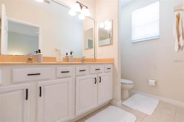 a bathroom with a sink a toilet and a mirror