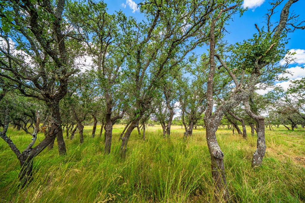 26 Blackjack Ranch Road, Unit 26 Harper, TX 78631 - Photo 3 of 8