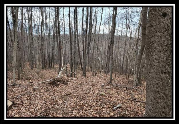 0 Black Run Road, Unit TRACT 8) Chillicothe, OH 45601 - Photo 25 of 47 image027