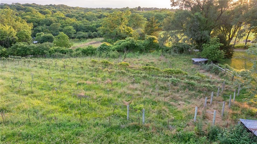 33200 East Hammond Road Lone Jack, MO 64070 - Photo 33 of 76