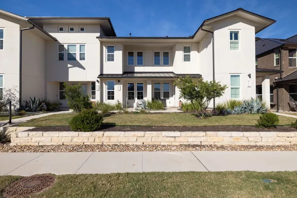 a close up of a flower in a garden