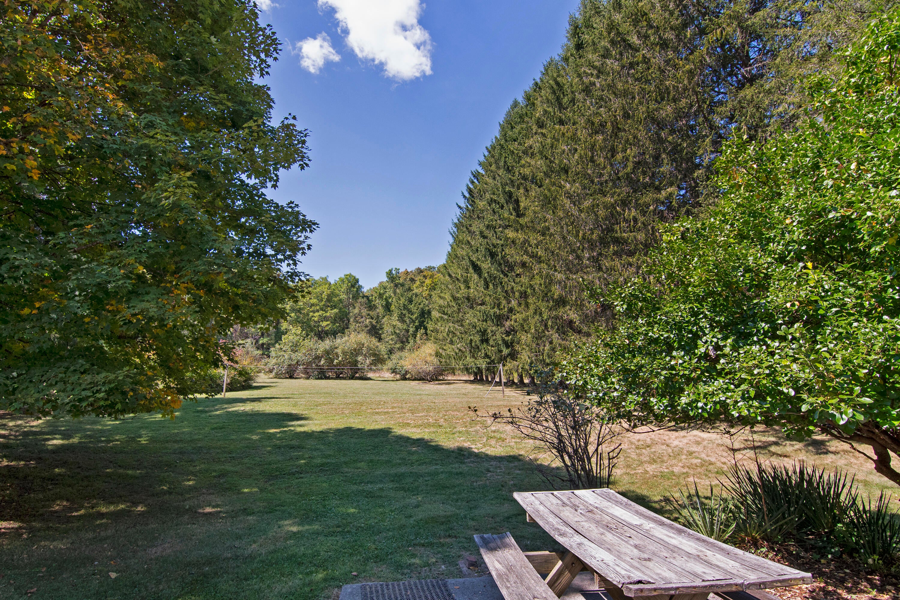 155 Dickson Road Caldwell, WV 24925 - Photo 76 of 78 Gallery Image 76