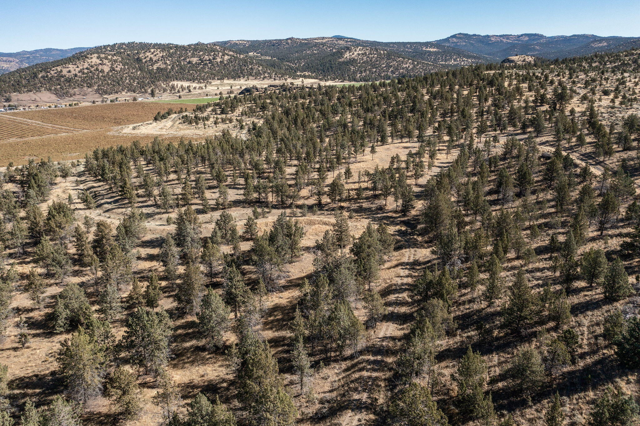 5598 North Mckay Road Prineville, OR 97754 - Photo 14 of 81 IMG_5863