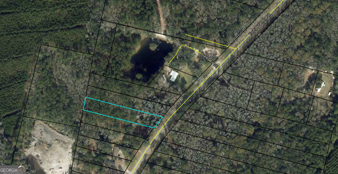 0 Youngman Road Townsend, GA 31331 - Photo 2 of 9
