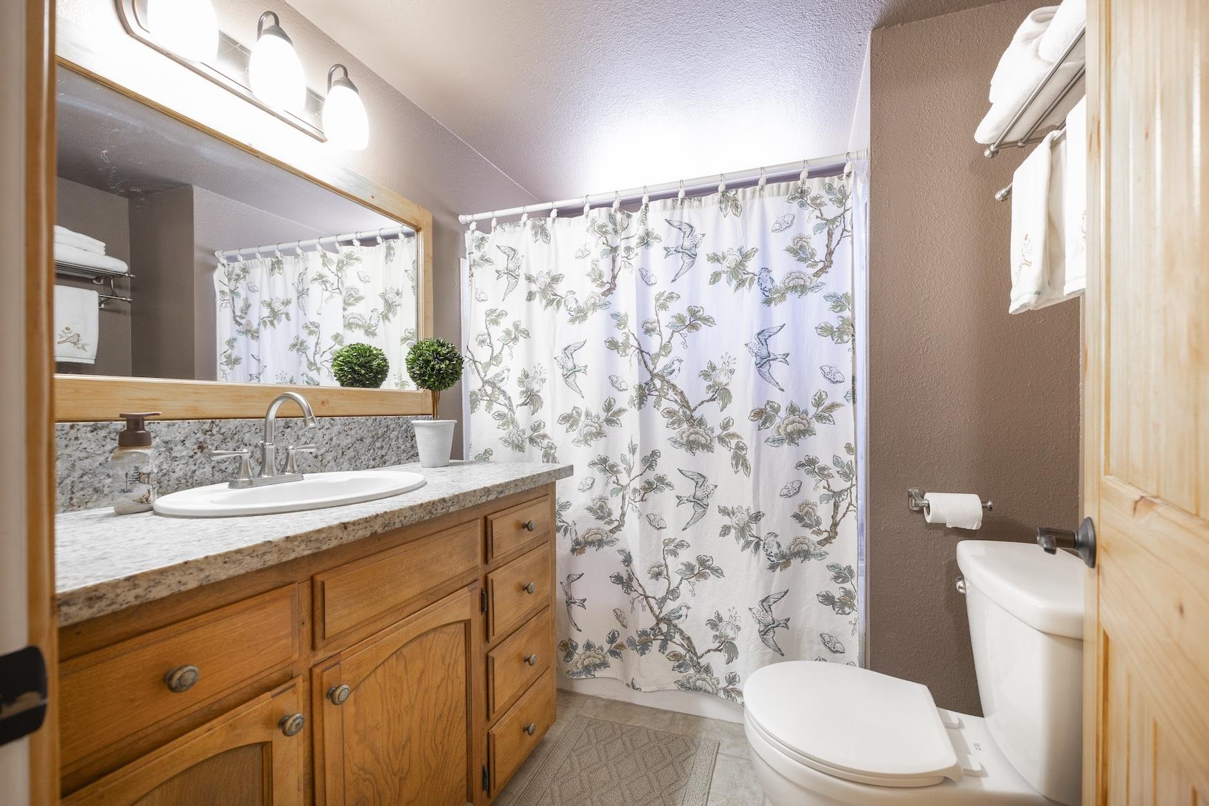 21146 Donner Pass Road Soda Springs, CA 95728 - Photo 11 of 25 a bathroom with a granite countertop sink toilet mirror and shower