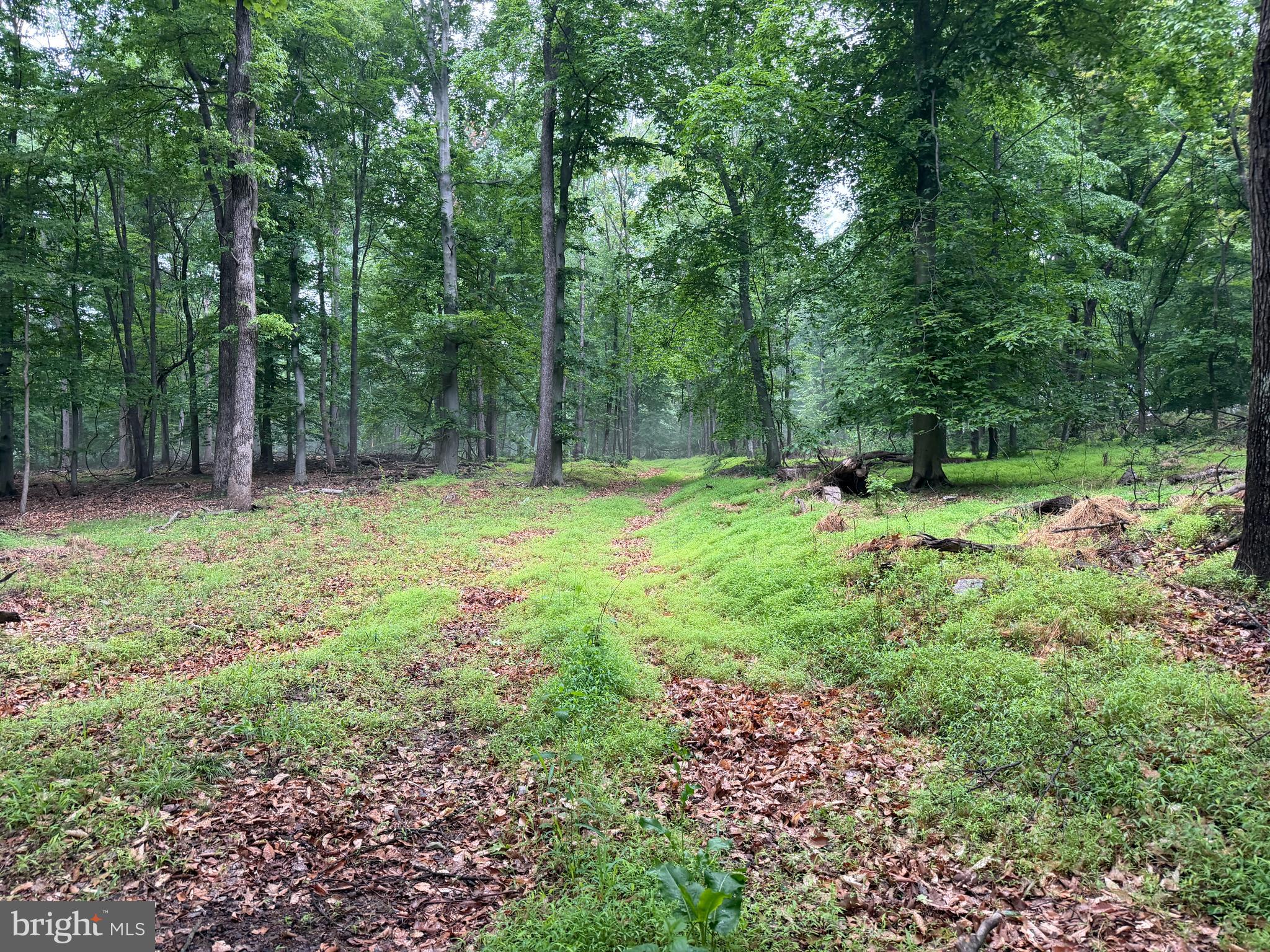 11915 Cove Road Clear Spring, MD 21722 - Photo 74 of 86