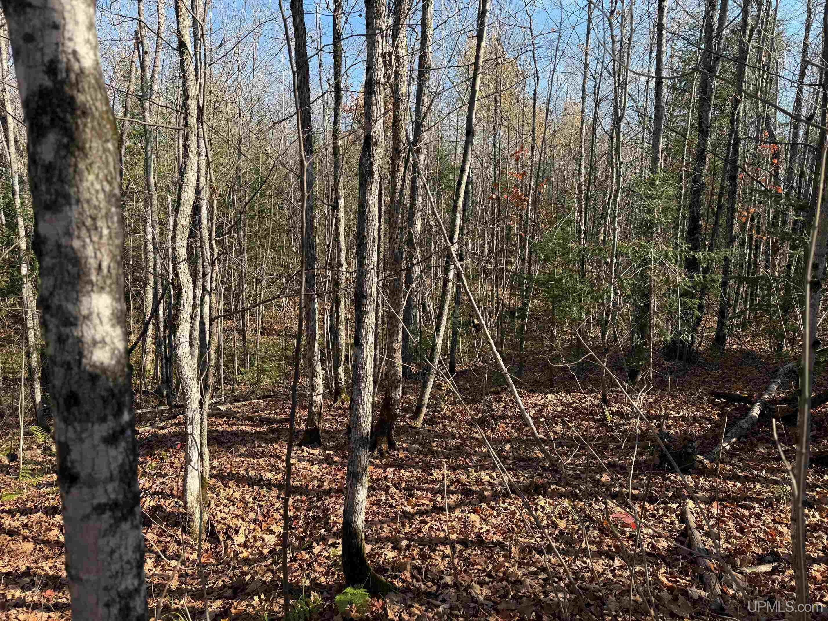 Tbd102 Firesteel Road Ontonagon, MI 49953 - Photo 12 of 18