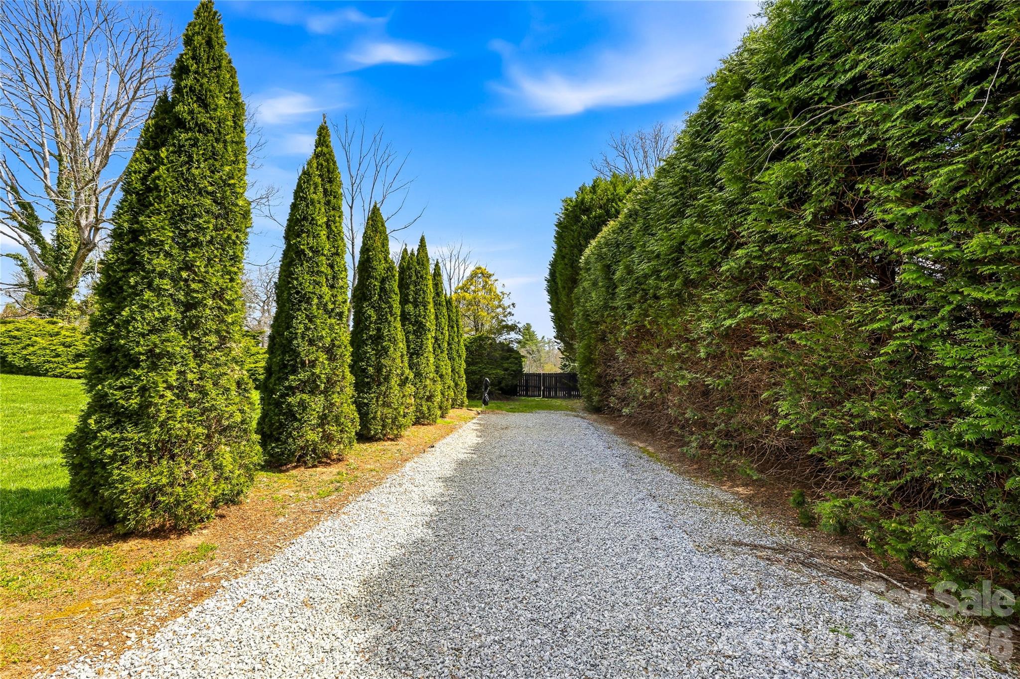 910 Rutledge Annex Hendersonville, NC 28739 - Photo 42 of 45 a view of a garden