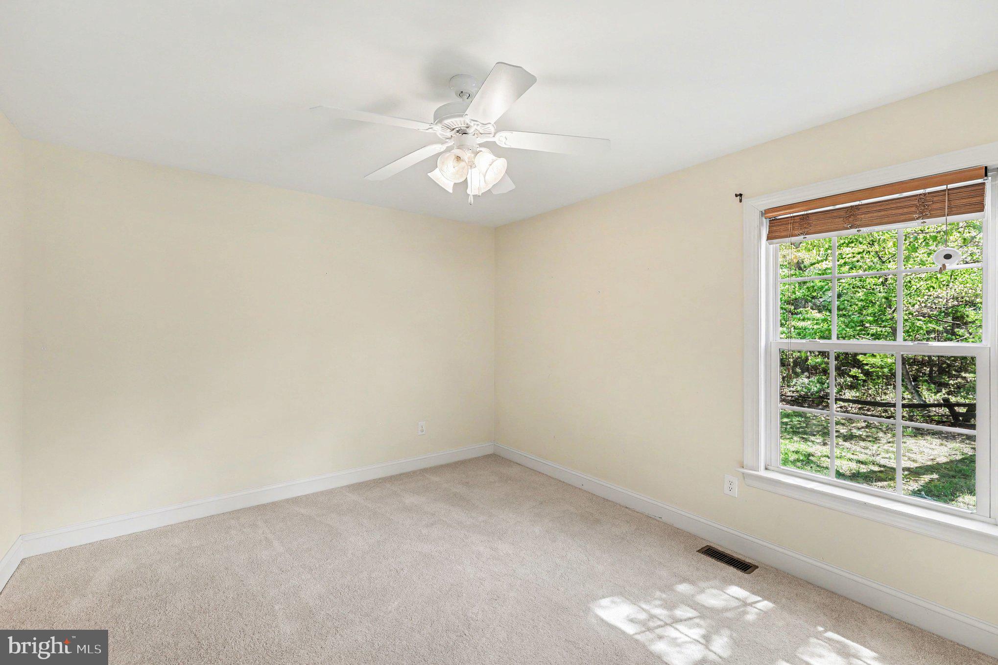 1564 Perry Road Winchester, VA 22602 - Photo 23 of 42 an empty room with windows and ceiling fan