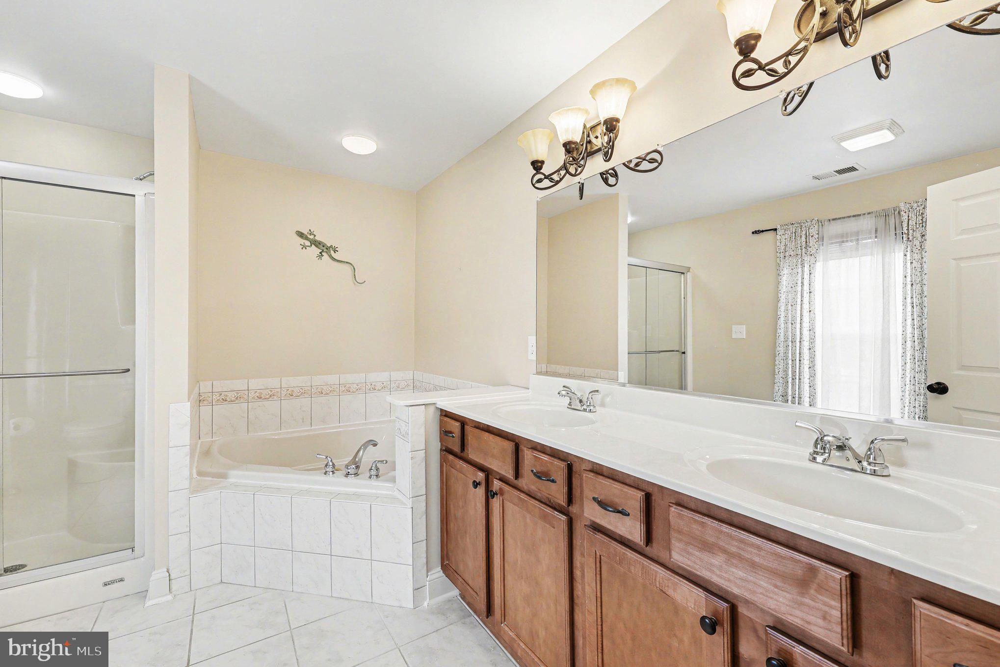 1564 Perry Road Winchester, VA 22602 - Photo 24 of 42 a bathroom with a sink a mirror and a shower