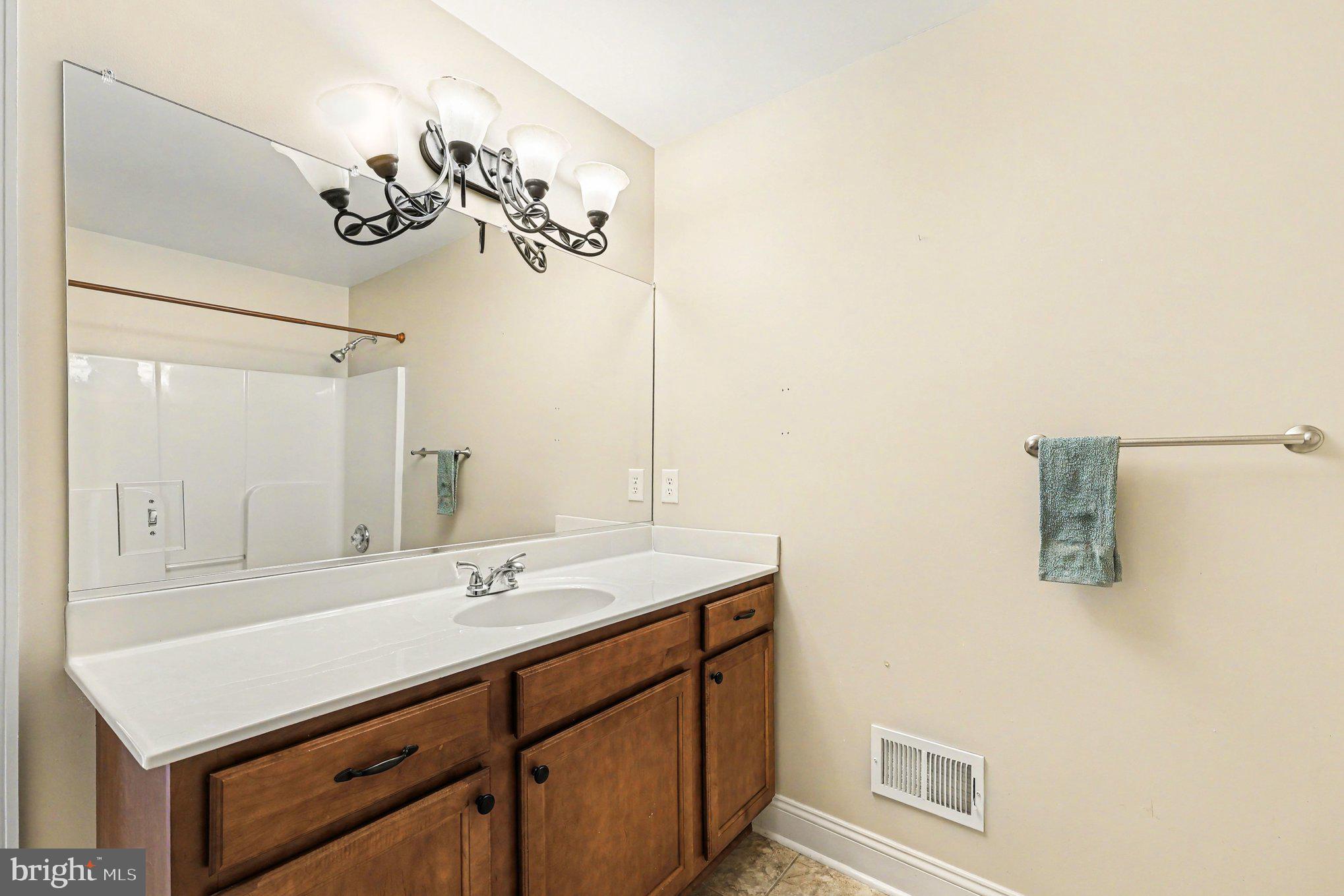 1564 Perry Road Winchester, VA 22602 - Photo 28 of 42 a bathroom with a sink vanity and a mirror