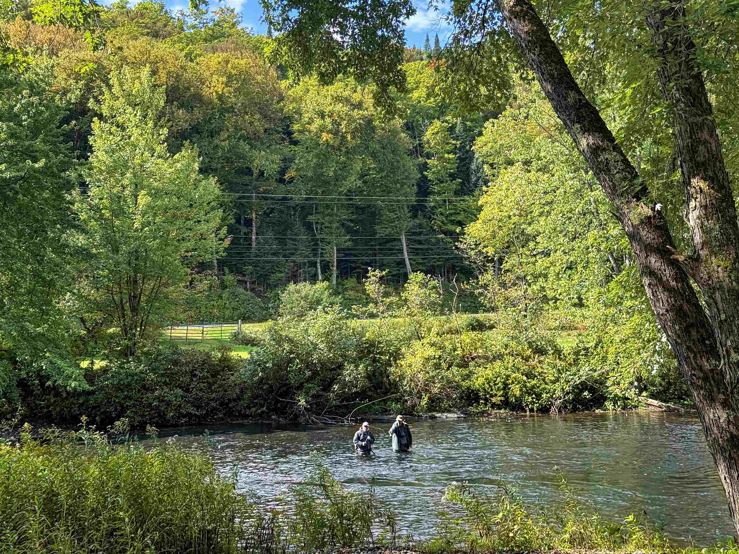 456 River Road Canaan, VT 05902 - Photo 5 of 22 Gallery Image 5