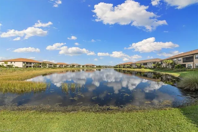 a view of a lake from a yard