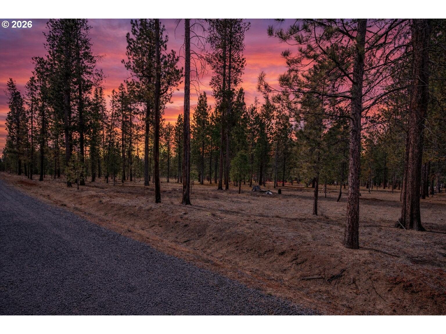 Pannier Court La Pine, OR 97739 - Photo 2 of 11 a view of a forest with trees in the background