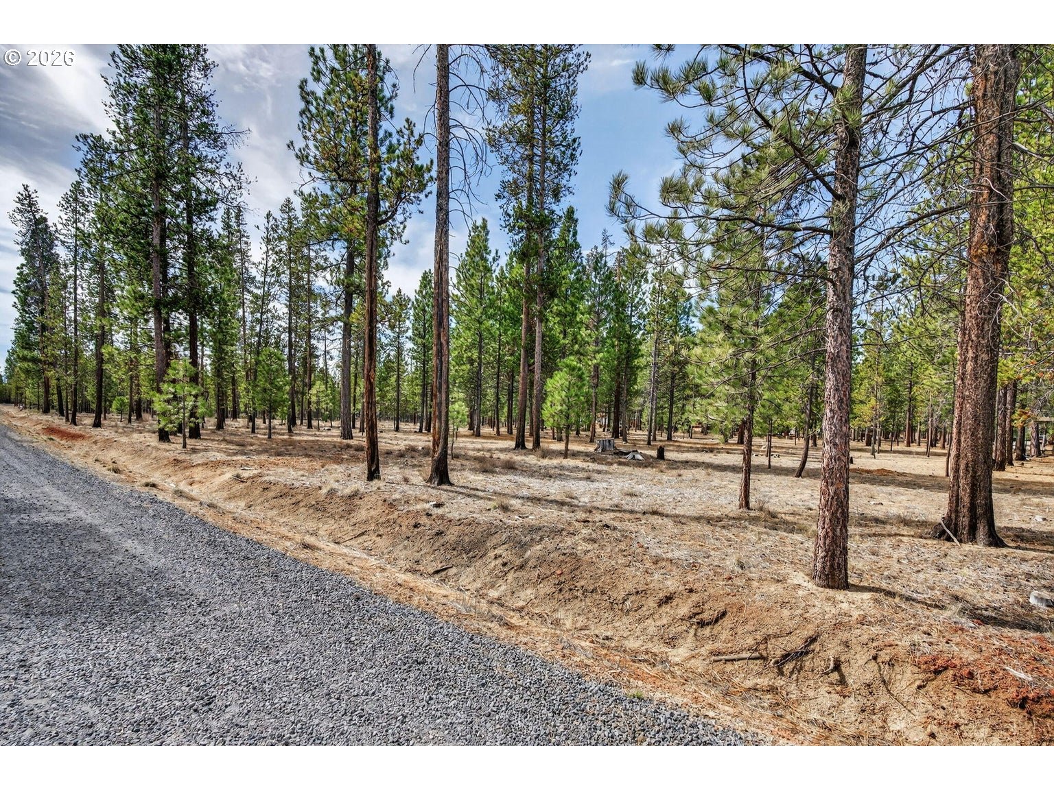 Pannier Court La Pine, OR 97739 - Photo 5 of 11 a view of a backyard with trees