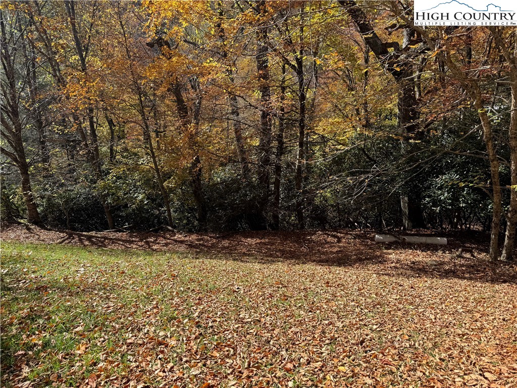 450 Astor Cook Road Blowing Rock, NC 28605 - Photo 33 of 39 a view of a backyard of a house