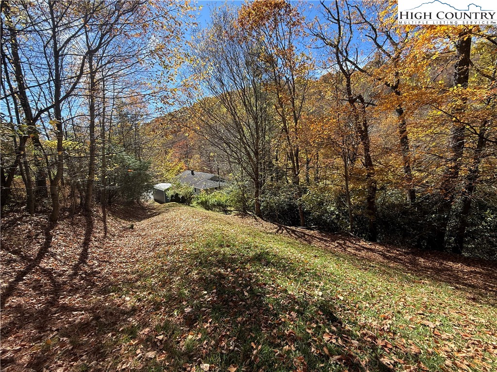 450 Astor Cook Road Blowing Rock, NC 28605 - Photo 34 of 39 a view of a yard with trees