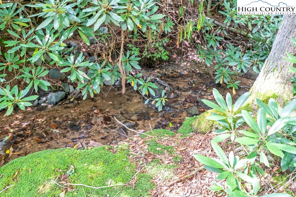 450 Astor Cook Road Blowing Rock, NC 28605 - Photo 37 of 39 a view of a garden