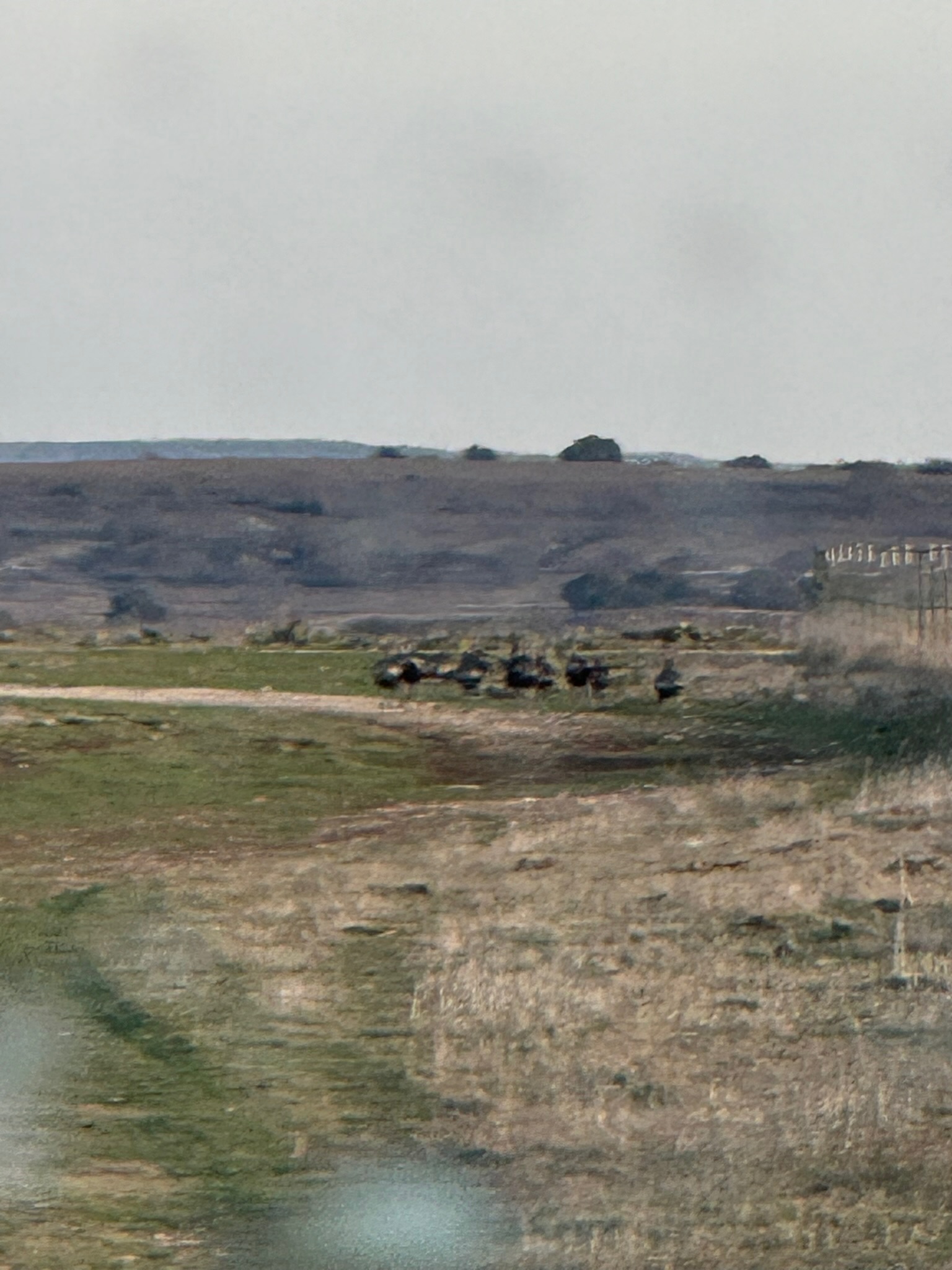 9 North Hcr 624 Road Hamilton, TX 76531 - Photo 35 of 40 a view of an ocean and mountains