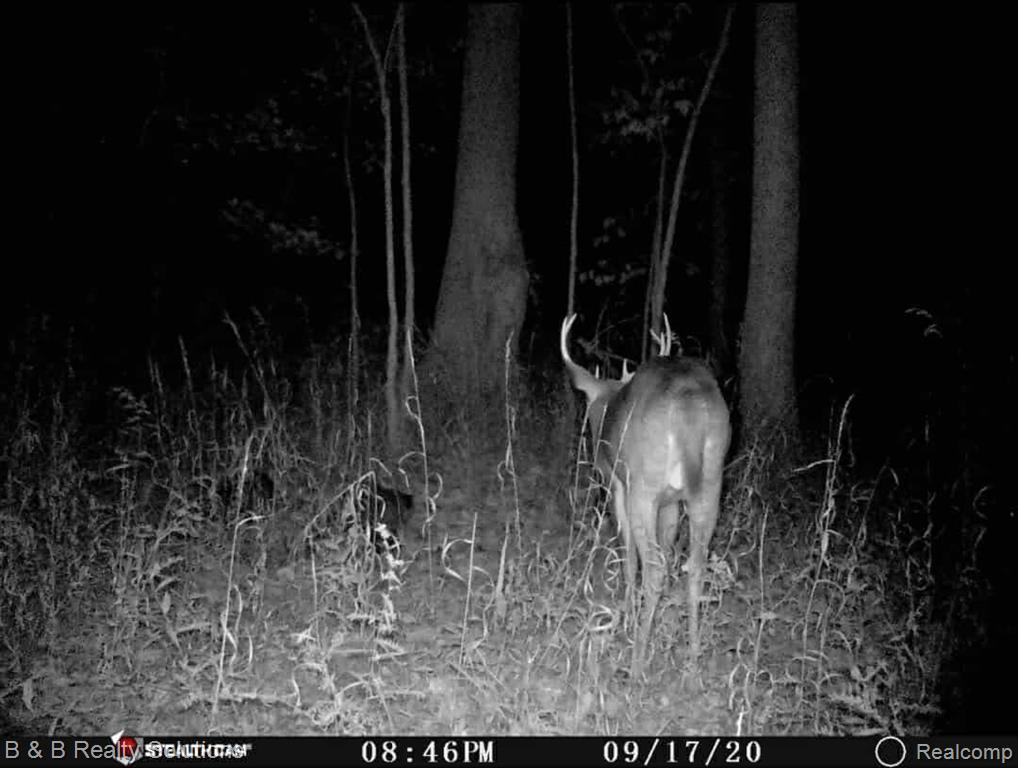2264 Dodds Road North Branch, MI 48461 - Photo 52 of 57