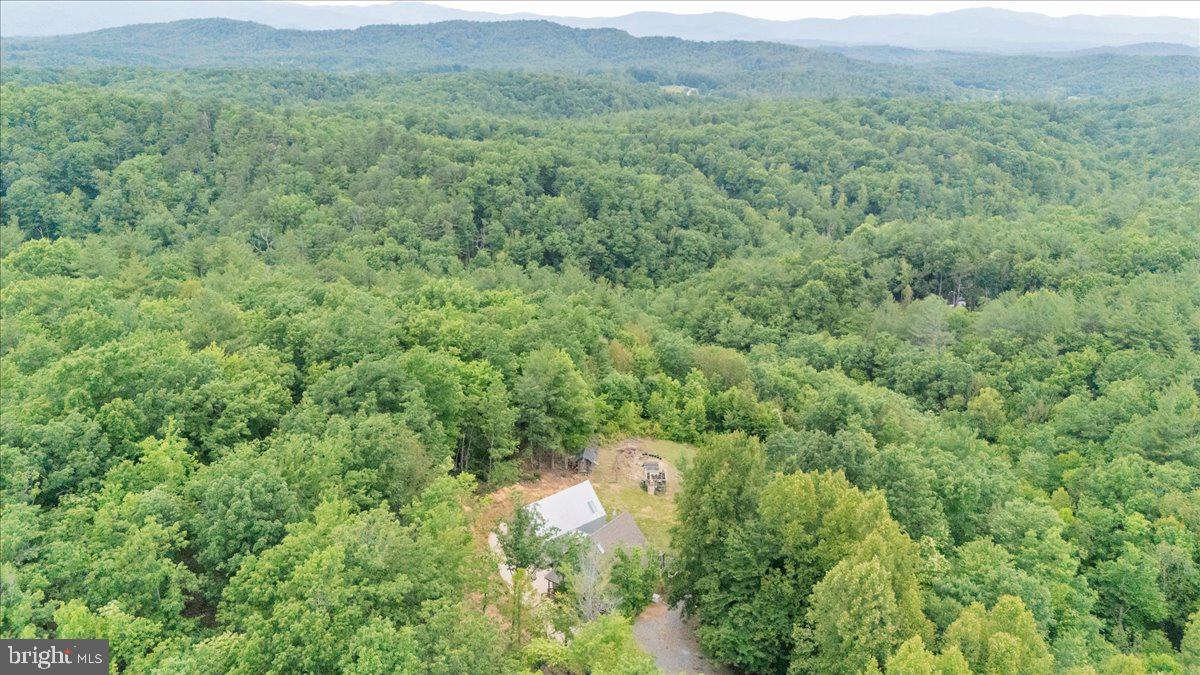 722 Foley Ridge Road Stuart, VA 24171 - Photo 65 of 67 Secluded retreat amidst lush greenery.