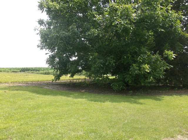 16542 Plank Road Peru, IL 61354 - Photo 3 of 4