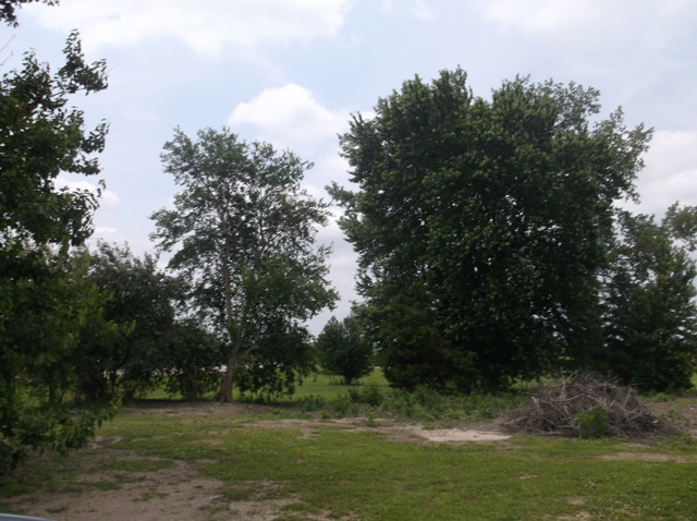 16542 Plank Road Peru, IL 61354 - Photo 4 of 4