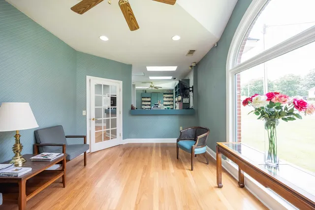 a living room with furniture and a potted plant
