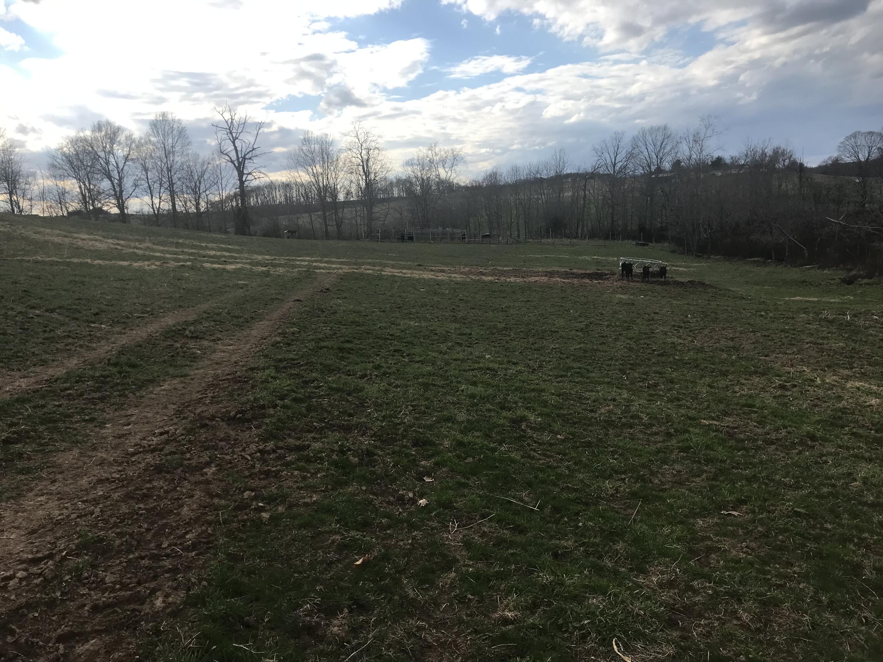 0 Quail Road Brodhead, KY 40409 - Photo 5 of 12 IMG-5972