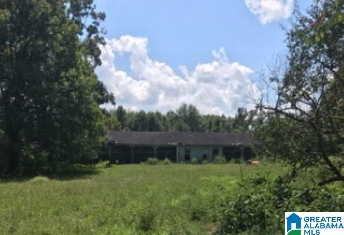 1957 Mineral Springs Road, Unit ACREAGE Pell City, AL 35125 - Photo 3 of 8