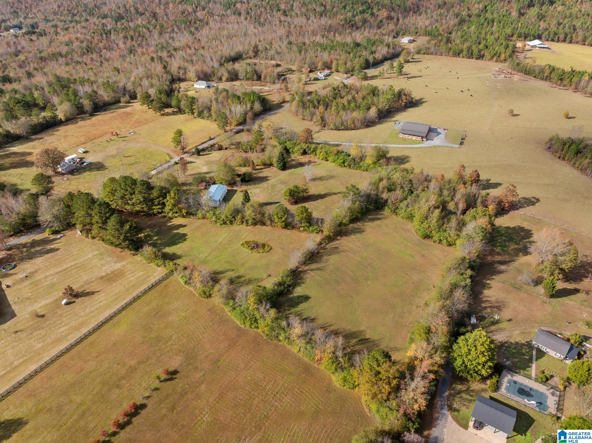 0 Armstrong Road, Unit 1 Ashville, AL 35953 - Photo 4 of 12