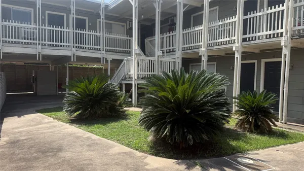 a palm tree sitting in front of a building