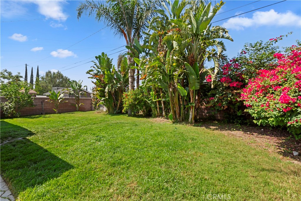 1705 Jeryl Avenue Colton, CA 92324 - Photo 21 of 24 a view of a yard with a tree