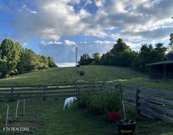 323 Beech Hollow Road Harrogate, TN 37752 - Photo 20 of 47 IMG_5758.thumbnail